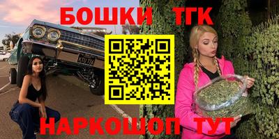 гидра Моздок