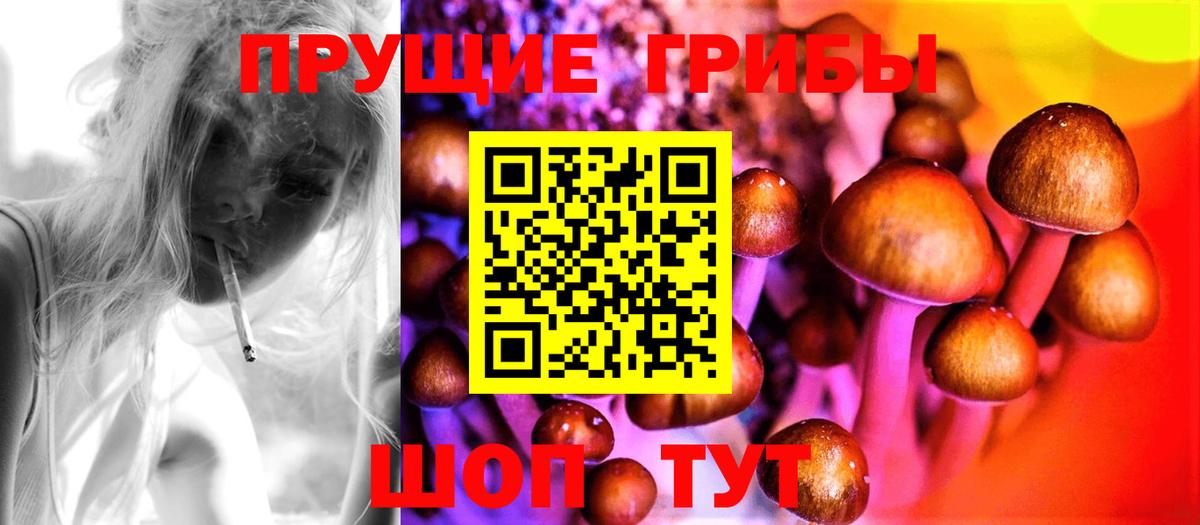 Псилоцибиновые грибы GOLDEN TEACHER Черняховск